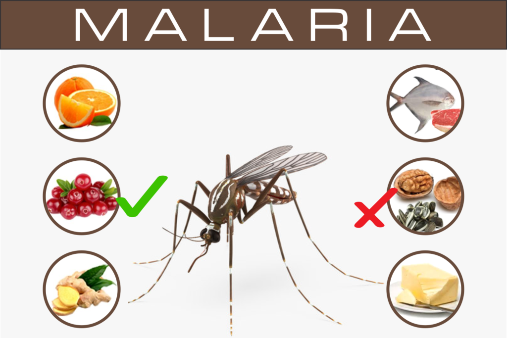 Must Read! What foods should we eat and avoid during malaria? – The ...