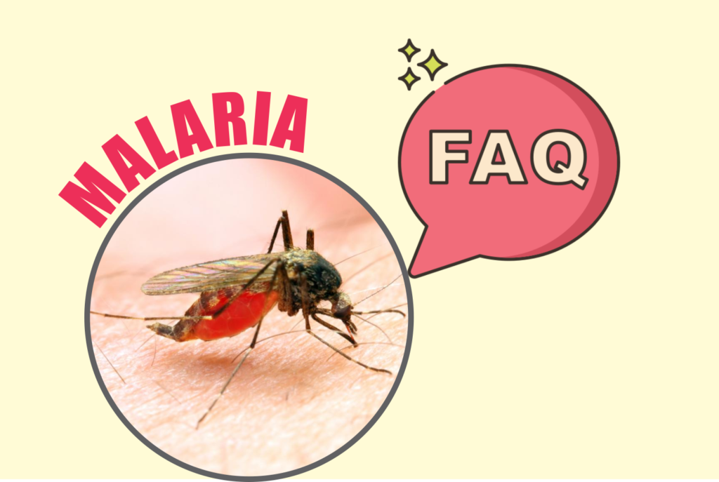 Frequently Asked Questions (faqs) On Malaria – The Health Quest