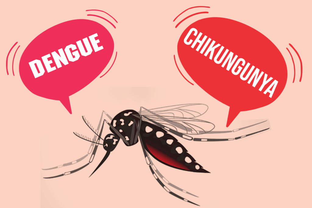 Must Read!! What are the differences and similarities between Dengue ...