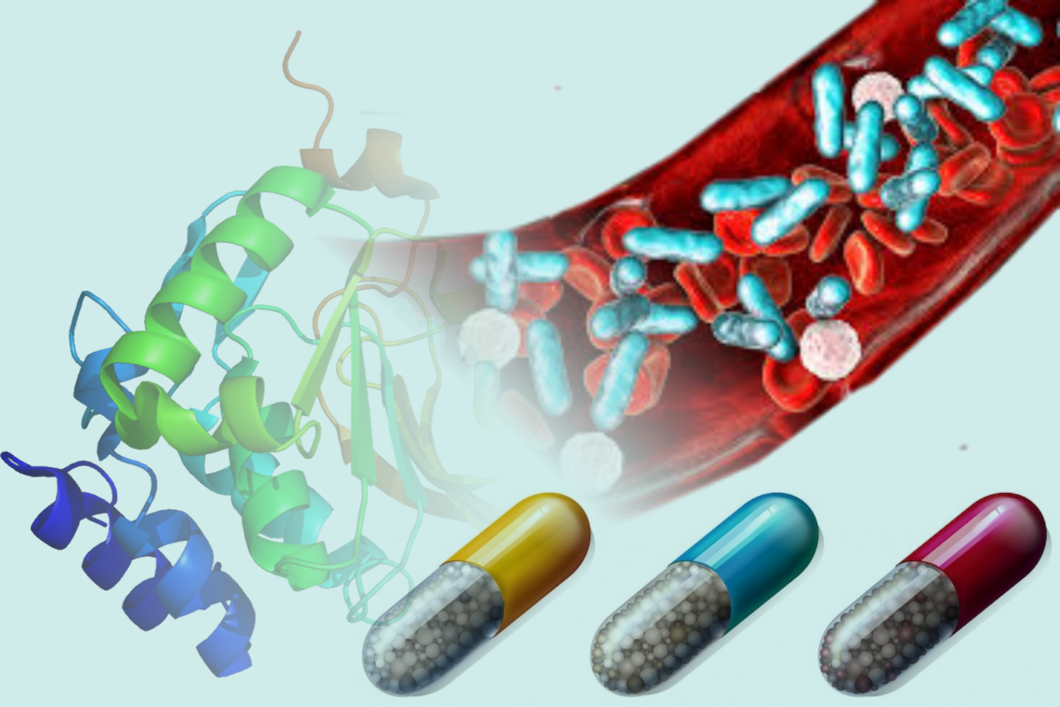 Procalcitonin In Sepsis And Antibiotic Therapy – The Health Quest